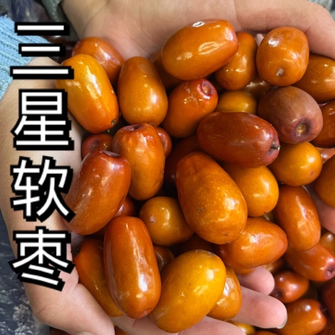 三星湿软枣鲜枣（混枣）  酸甜口感