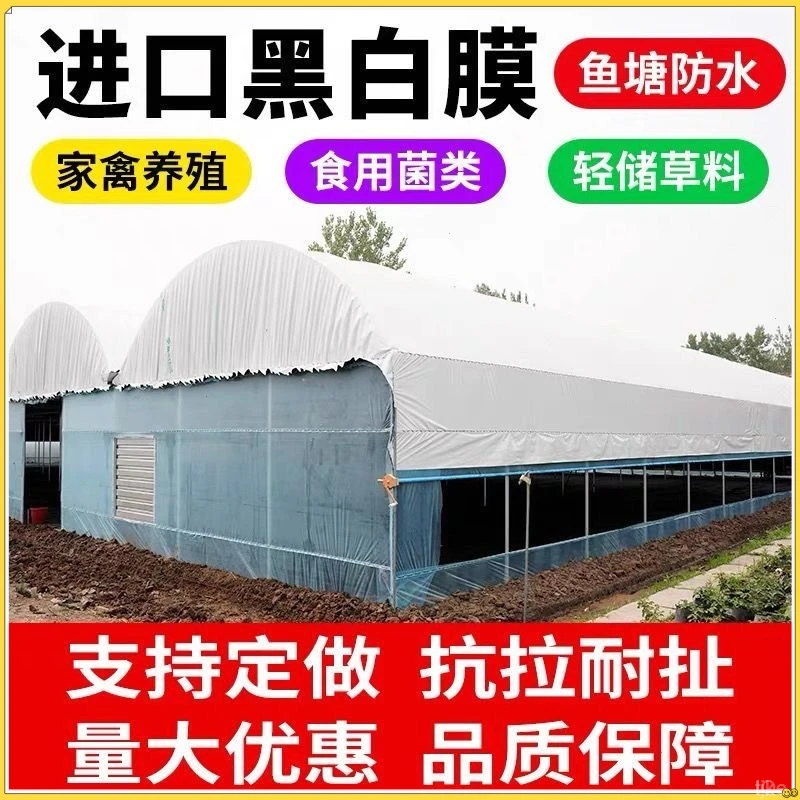 加厚黑白膜养殖大棚膜防晒抗老化农用大棚黑白膜反光塑料布青储膜