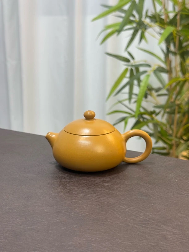 扁西施 黄金朱泥薄胎全手工潮州手拉壶小品壶泡茶器约120毫升188