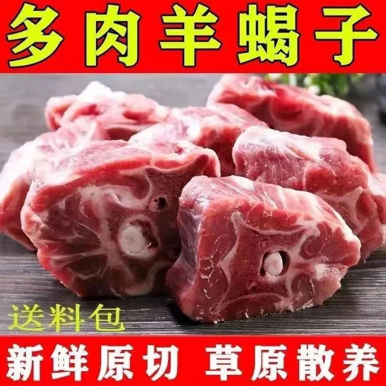 新鲜多肉羊蝎子正宗带骨髓内蒙散养羊排羊蝎子煲汤批发火锅食材