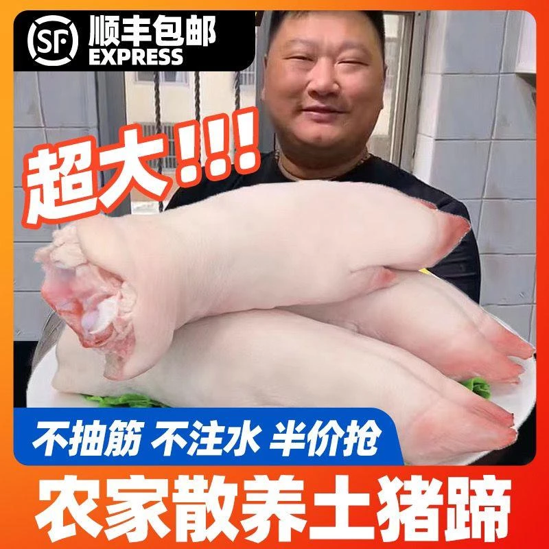 新鲜猪蹄散养整只现杀前蹄带筋农家猪脚猪手商用蹄子后蹄批发整箱