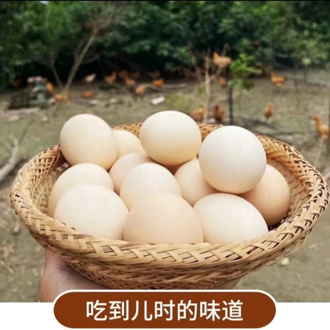 东北山林散养溜达鸡鸡蛋，笨鸡蛋 营养土鸡蛋30枚包邮