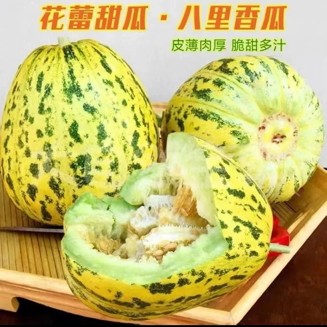 【顺丰包邮】东北特产 八里香香瓜，脆甜多汁，现摘现在发 3斤