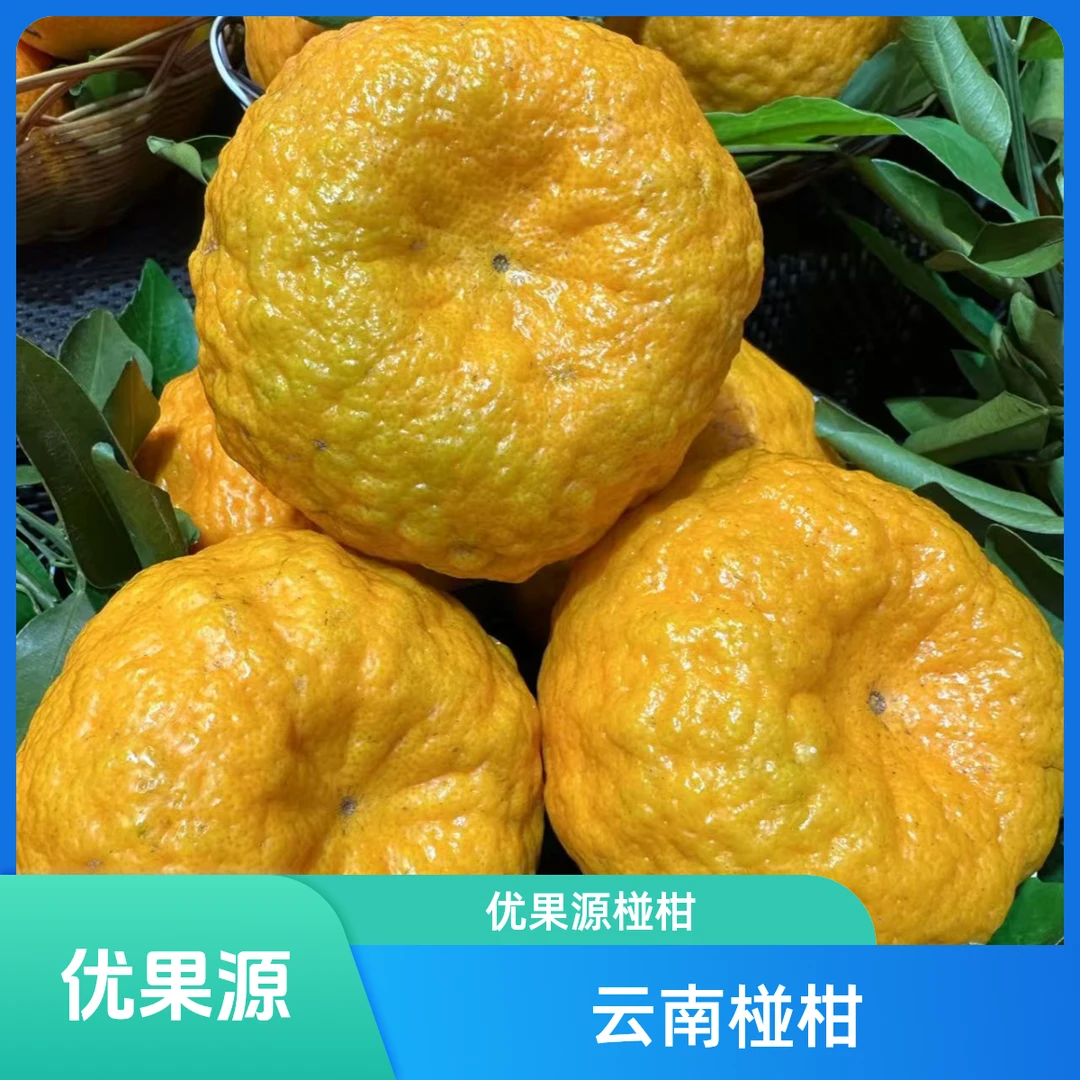 优果源云南宾川椪柑（2斤左右）四川省