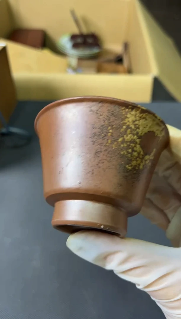 【闪购商品】紫砂茶杯大漂亮大漂亮