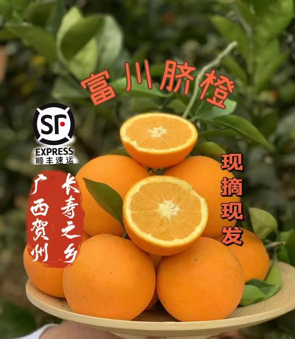 广西长寿之乡（富川脐橙）