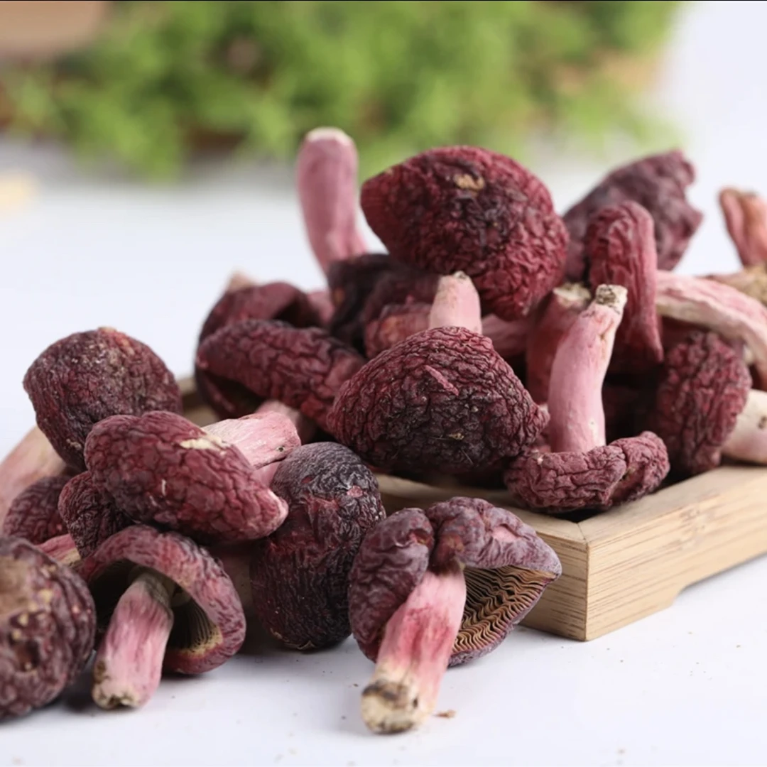 正宗福建特产深山野生红姑红菌新鲜干货月子菇煲汤鲜美特级红蘑菇