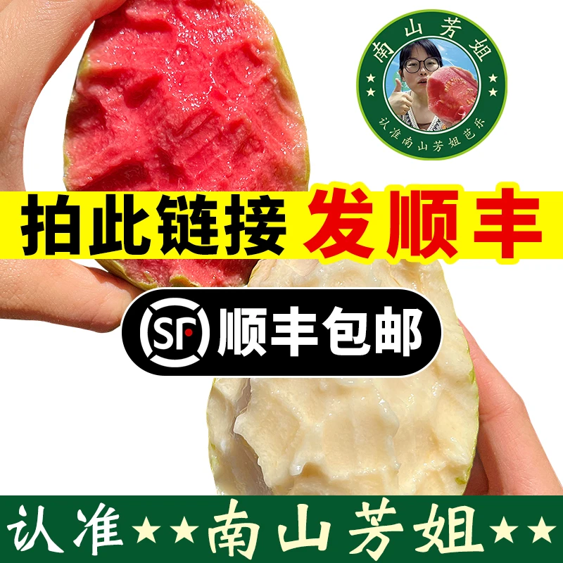 【顺丰包邮】红心软芭乐软糯番石榴3斤5斤当季新鲜水果包邮白心奶油