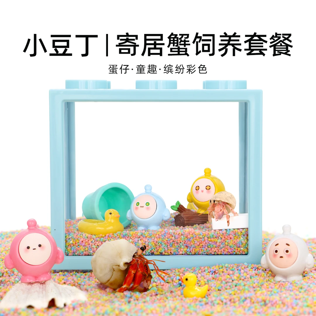 陌派可爱豆丁寄居蟹饲养套装套餐～饲养盒箱办公桌面萌宠儿童礼物