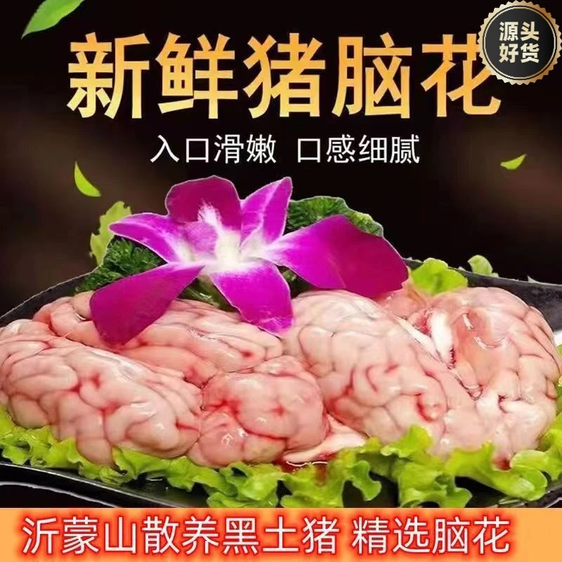 【鲜猪脑花】新鲜精选优质猪脑花现杀现发冷冻发货烫火锅炖汤烧烤2.