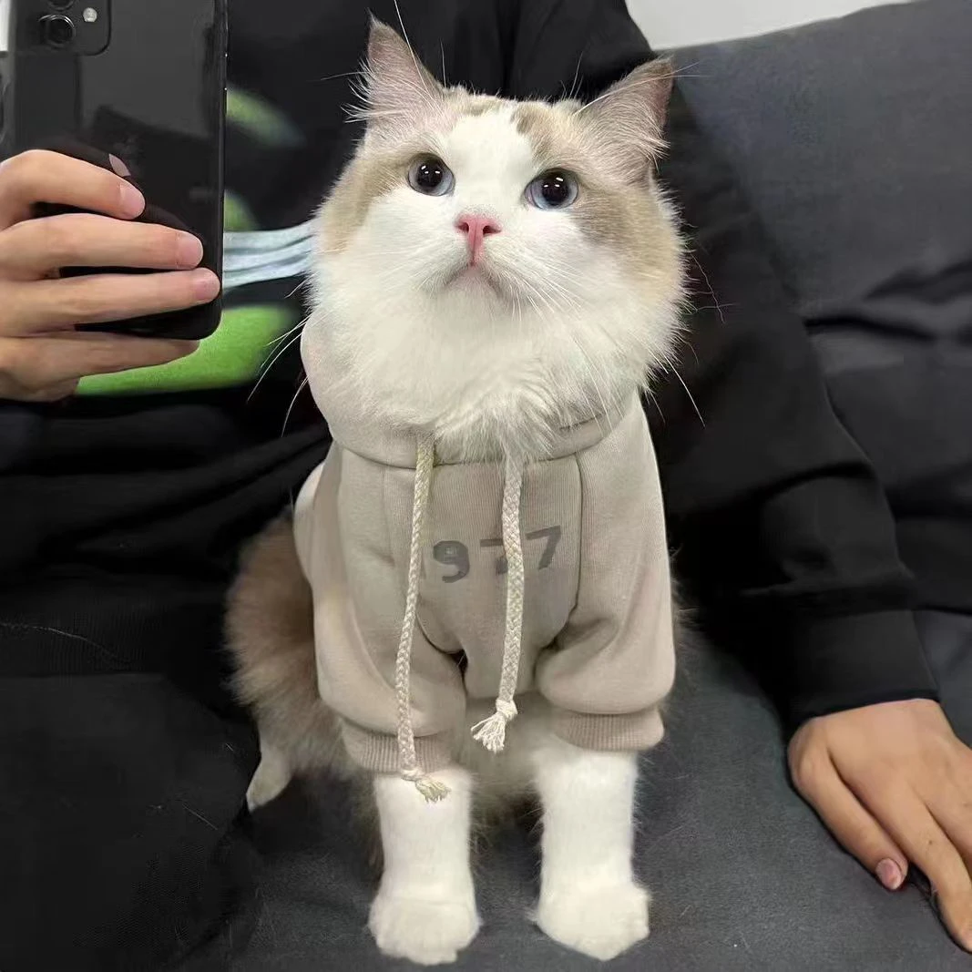 宠物猫猫咪衣服秋冬装防掉毛保暖可爱小奶猫蓝猫英短连帽加绒卫衣