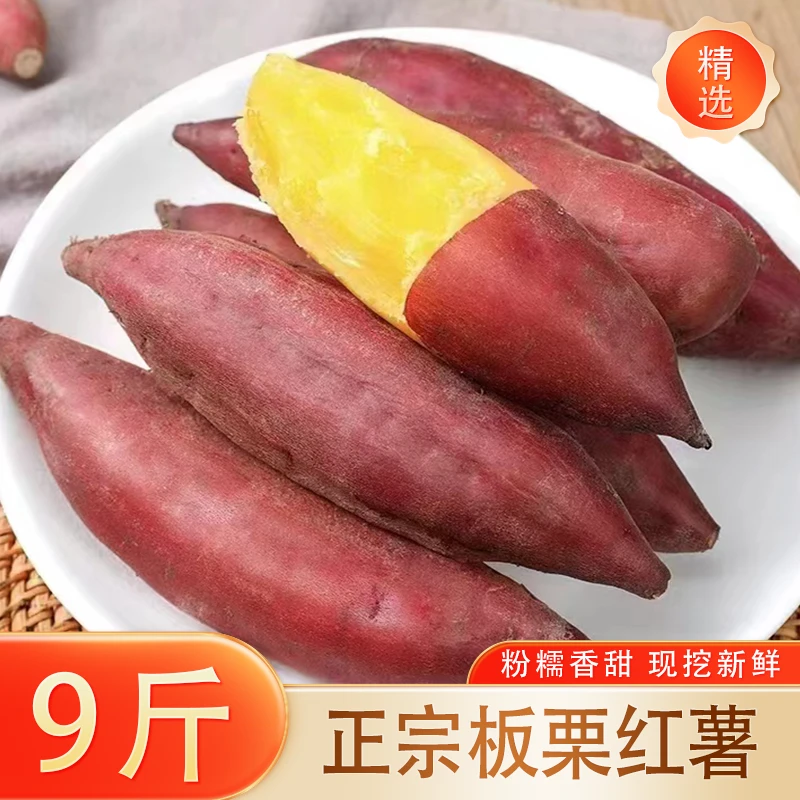 正宗黄心板栗红薯 优质果9斤 新鲜现挖粉糯香甜 农家地瓜烤红薯