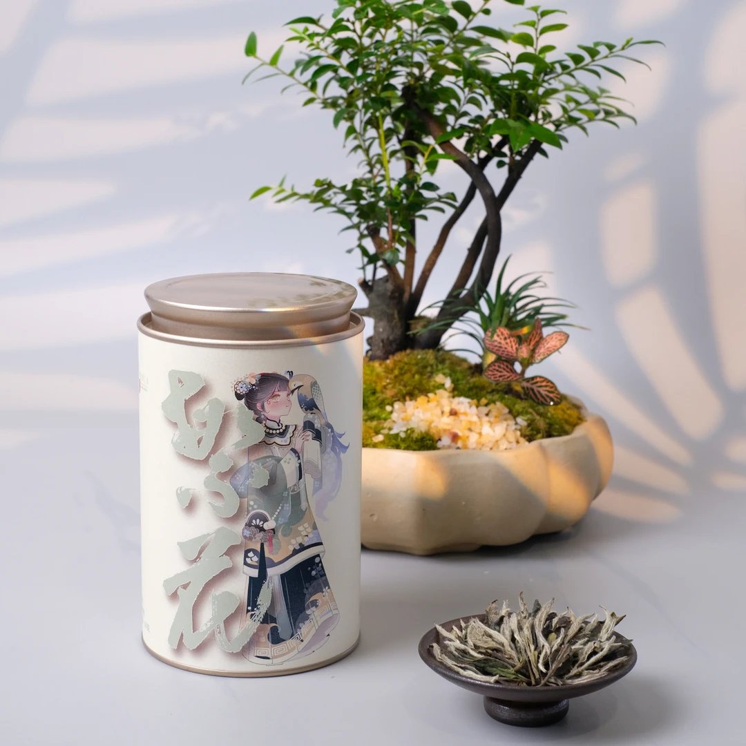 【爆品】繁花 2019年花香白牡丹白茶 太姥山 花香 宗阳生态