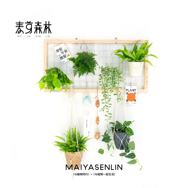 新款中号深情网网格实木花架室内阳台墙面壁挂爬藤架升级百搭花架