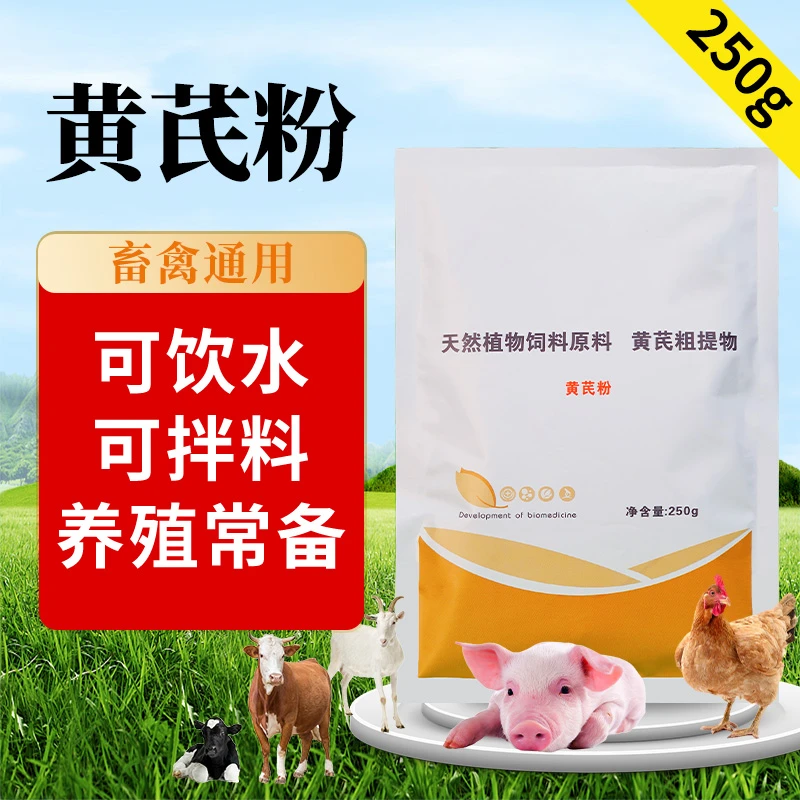 黄芪粉 畜禽可溶性黄芪粉 饲料添加剂提免补气抵抗病毒预防流感