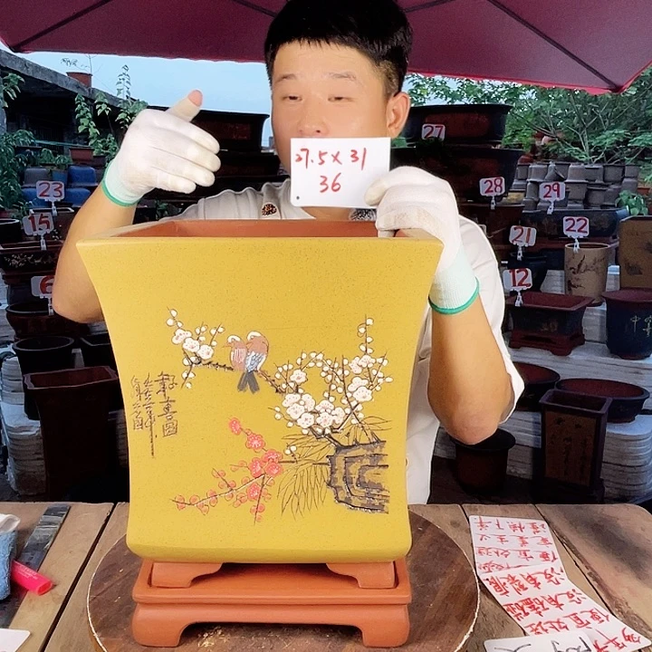 紫砂20CM(含)-50CM(不含)