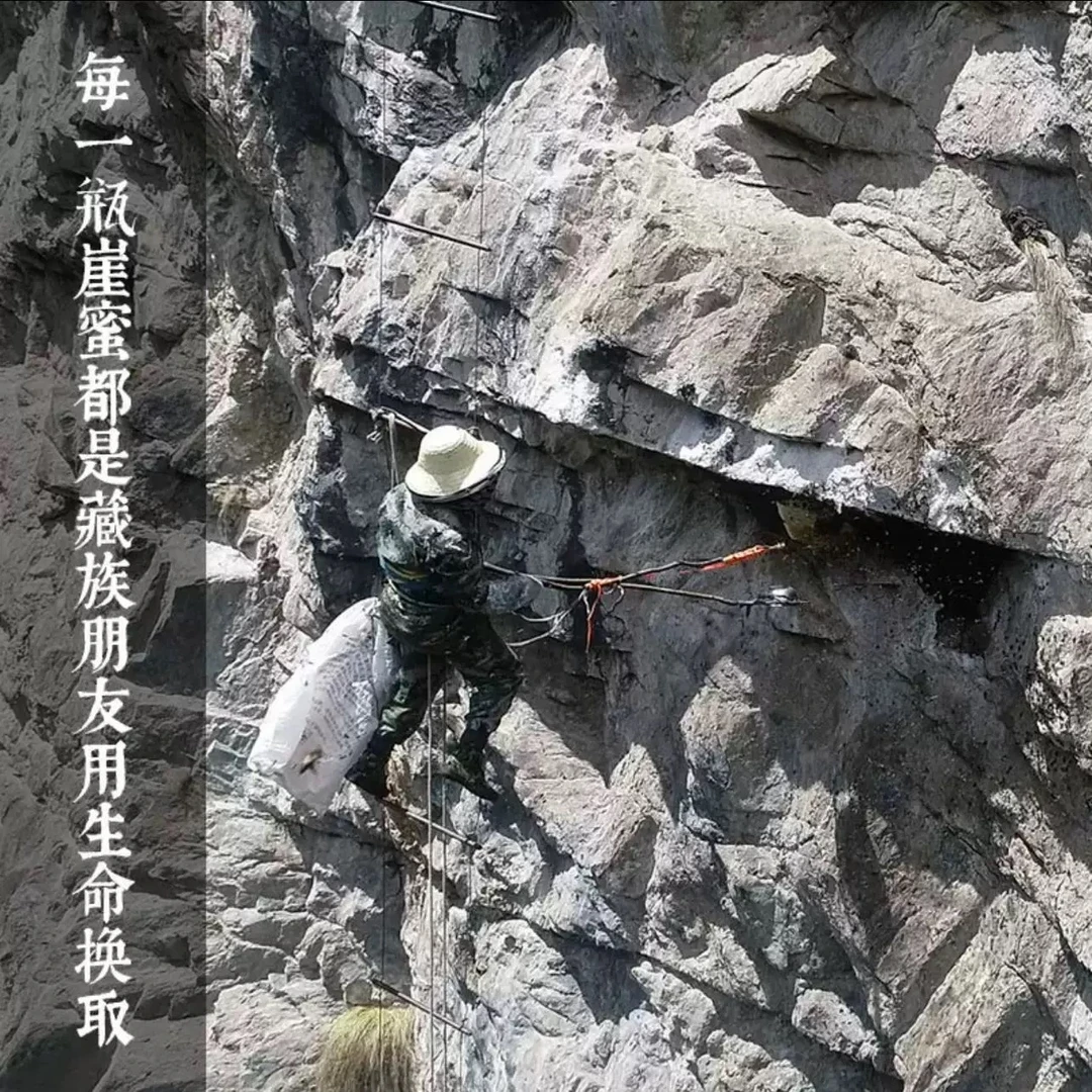 林芝察隅野生崖蜂蜜无添加无勾兑老百姓源头收购500克(1瓶)