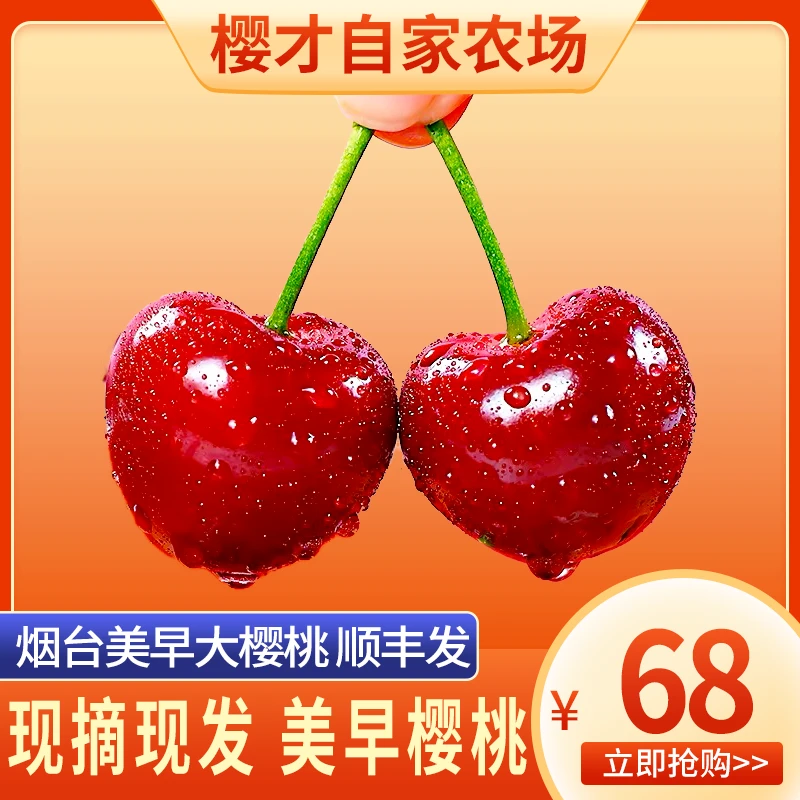 现摘现发【美早纯甜】烟台大樱桃车厘子孕妇水果26-34mm顺丰包邮
