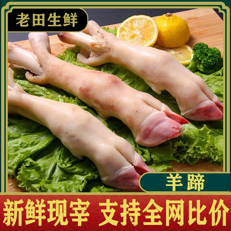 4斤鲁西山羊羊蹄现宰发货精品冷链