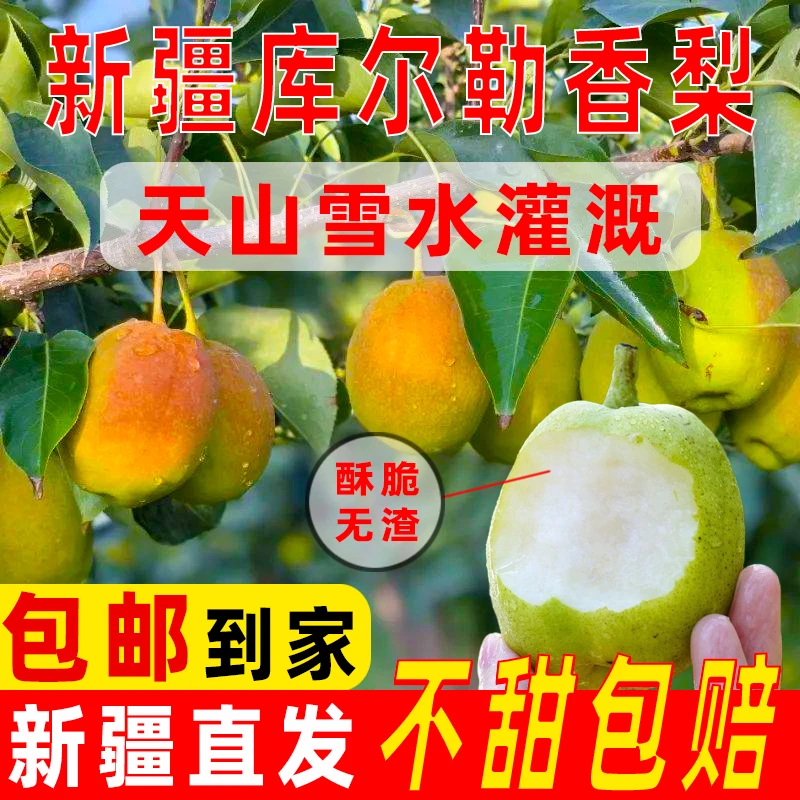 【新疆库尔勒香梨特级5斤】皮薄香脆，自家梨园，整箱包邮