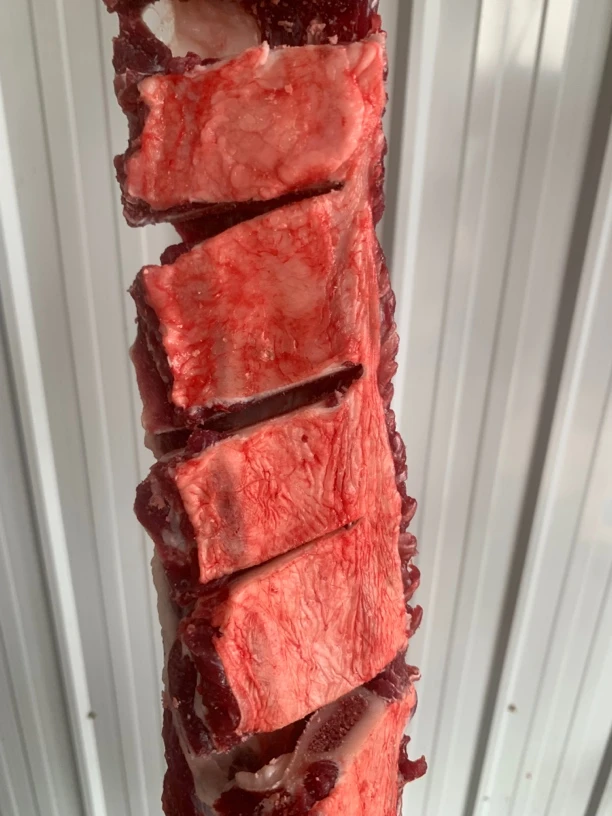 牛排骨 新鲜现宰
