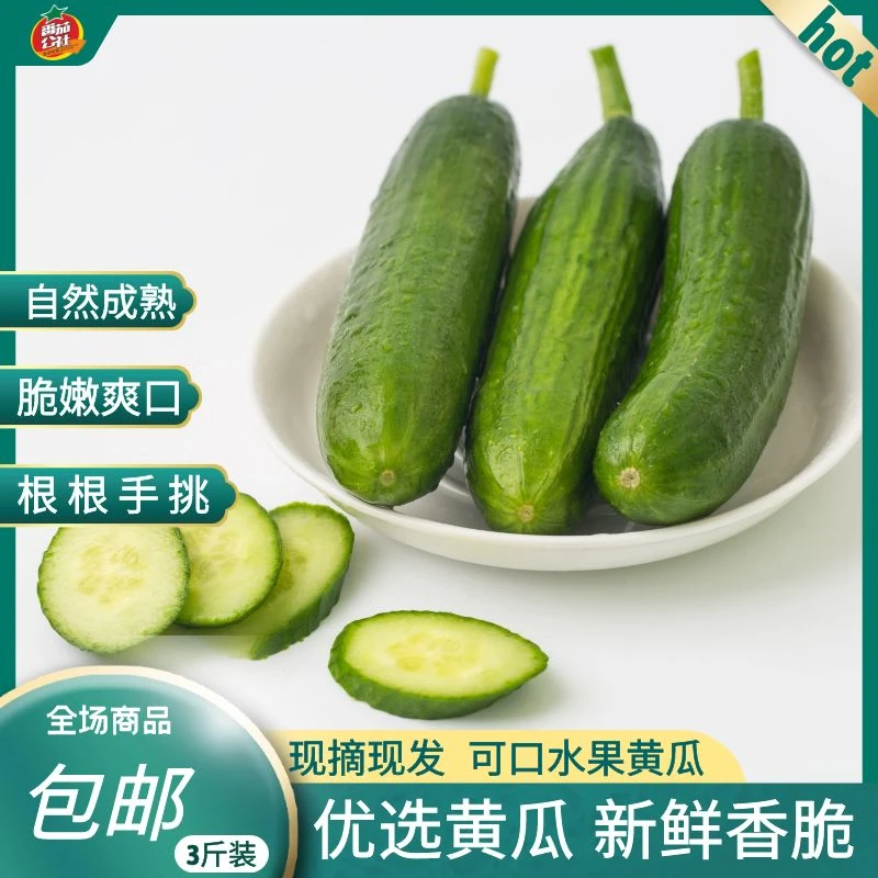 水果黄瓜清脆4.5斤爽口现采现发水果爽口3斤多汁饱满清脆嫩新鲜