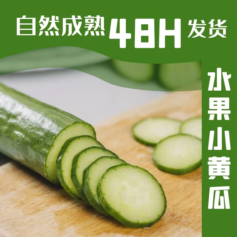 水果黄瓜3斤清脆爽口现采现发清脆鲜嫩多汁4.5斤饱满清脆嫩美味