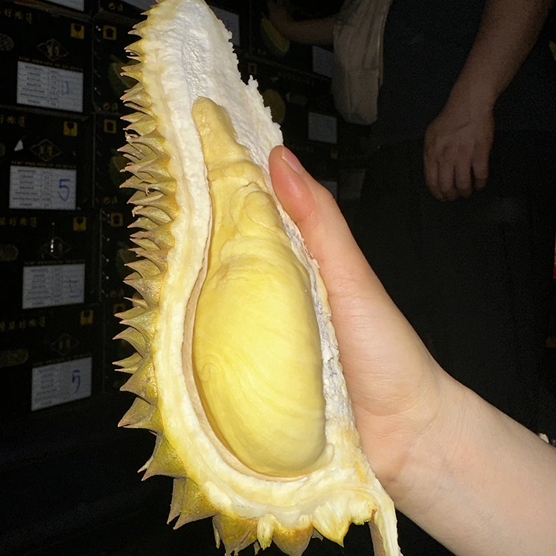 【哈拉秀严选】至尊泰国树熟金枕榴莲2-11斤整个带壳 生劈不售后 二