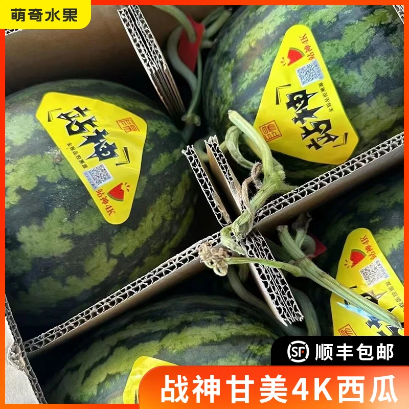 现货战神甘美4k西瓜麒麟瓜无籽西瓜超甜战神西瓜水果新鲜脆甜顺丰