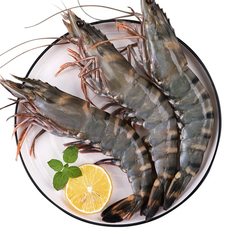 冷冻新鲜黑虎虾