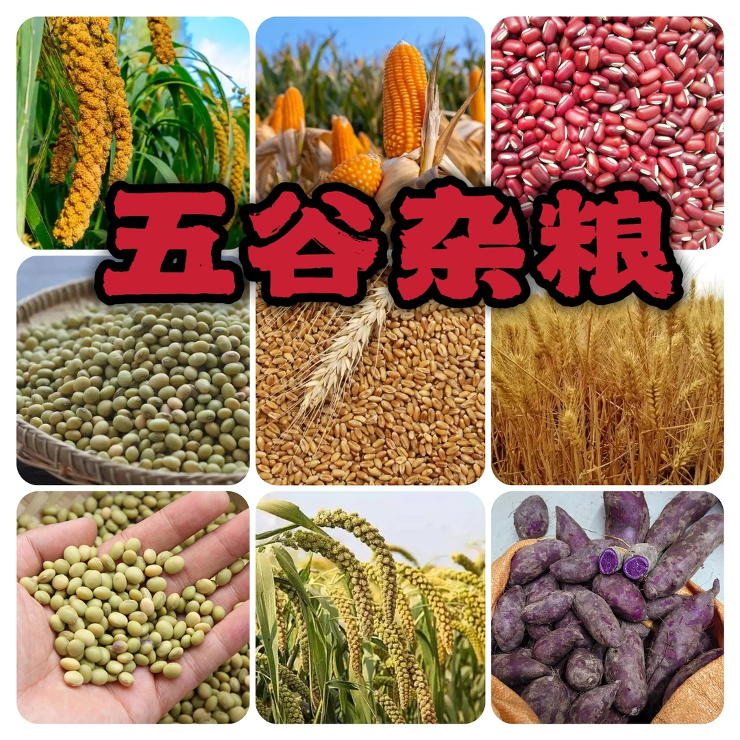 种在自留地里的五谷杂粮