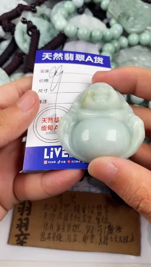 【闪购商品】翡翠颈饰未镶嵌翡翠