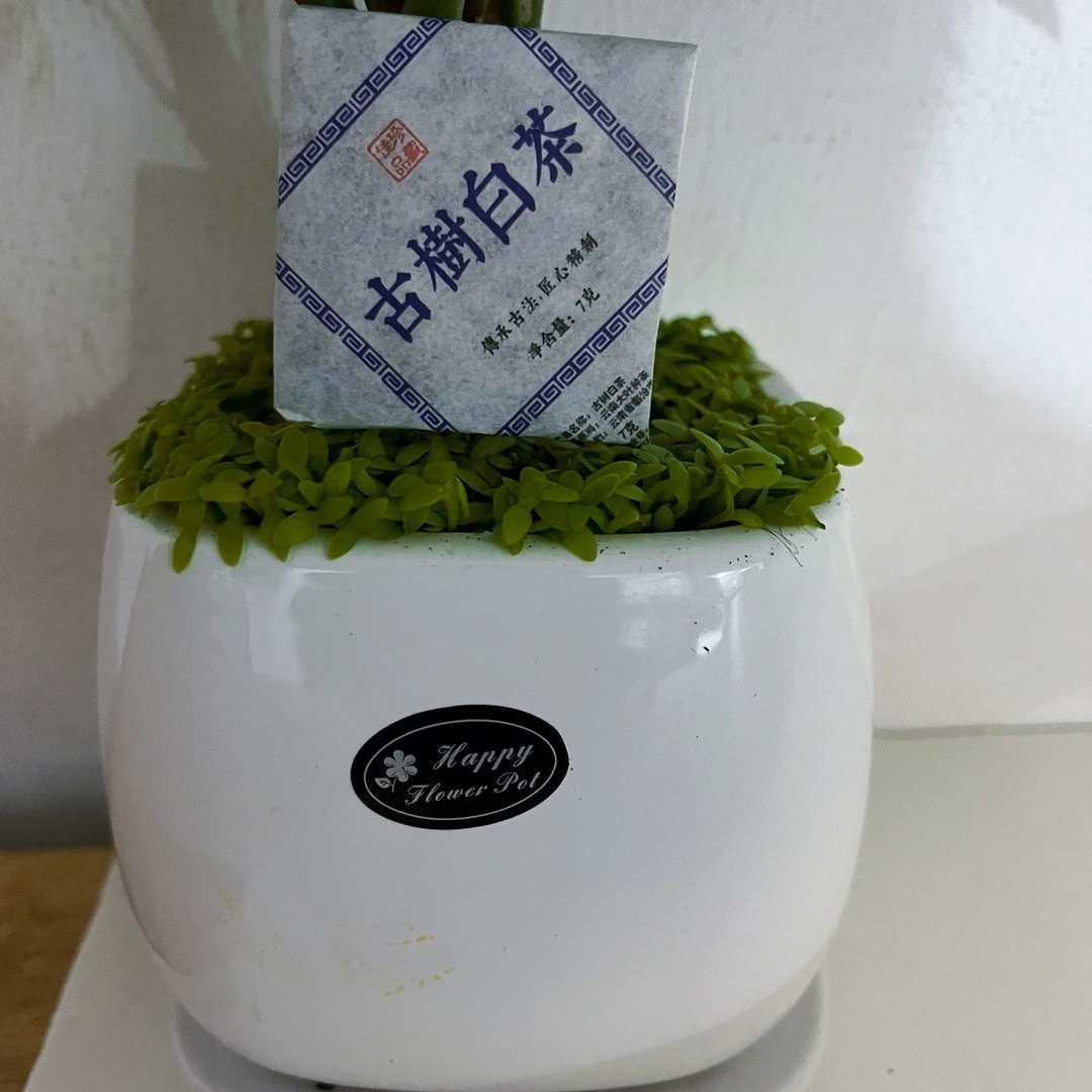 云南普洱茶白茶云南白茶旧笼白茶白茶方片 8g/片