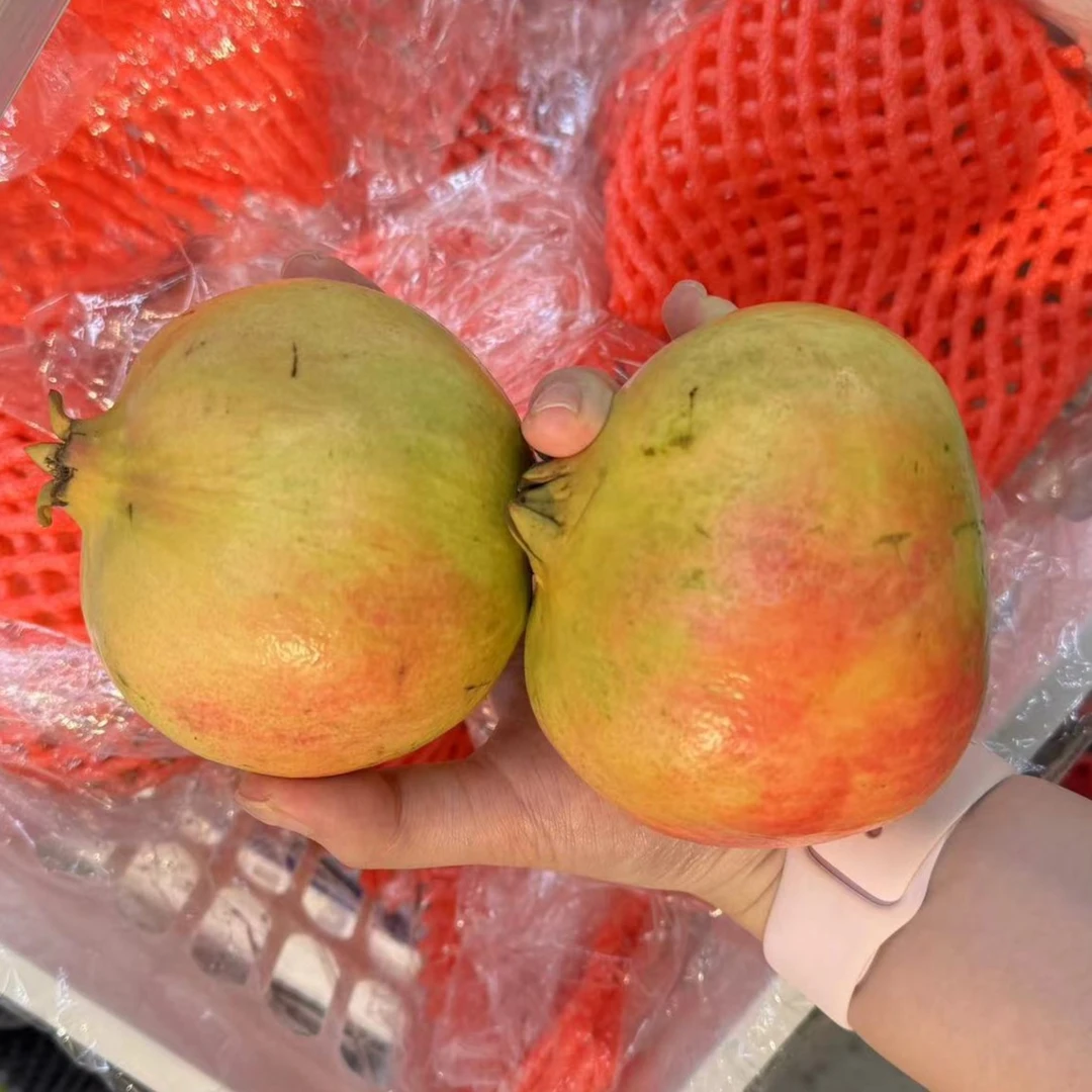 软籽石榴2个