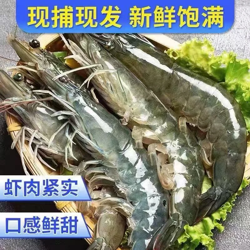 冷链发货2030海虾净重3.6斤带保护冰1斤10-15只 一盒到手46-55只