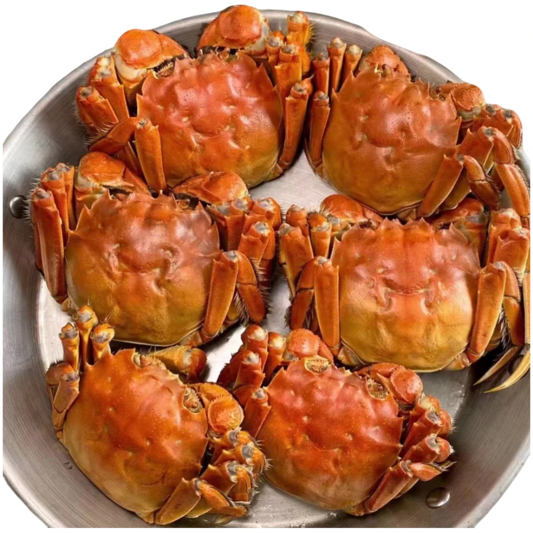 (活蟹现发）5两公蟹4两母蟹4对8只精挑苏州大闸蟹--去绳净重1