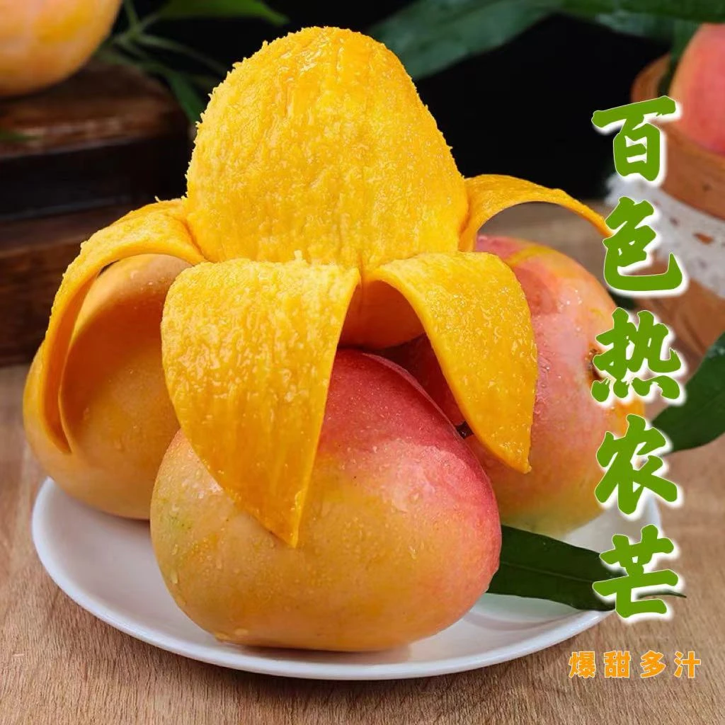 F广西百色热农芒果椰香黄皮澳芒5斤苹果芒香甜新鲜现摘坏果包赔