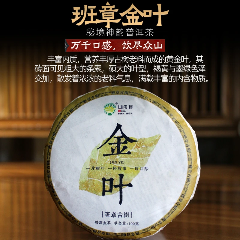 普洱茶生茶2023年云南班章古树纯料黄金叶春茶冲泡散茶茶叶生茶饼