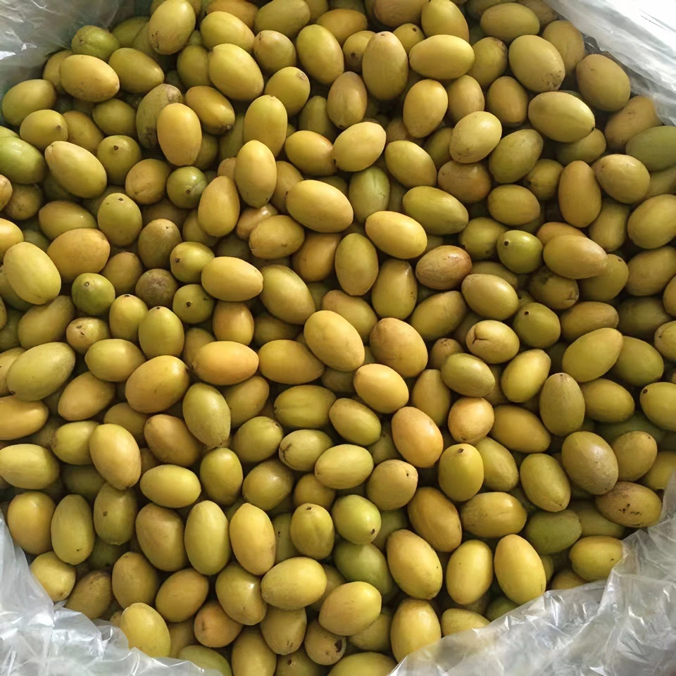 正宗黄橄榄原味现摘发货新鲜青橄榄黄橄榄煲汤橄榄泡酒橄榄一斤