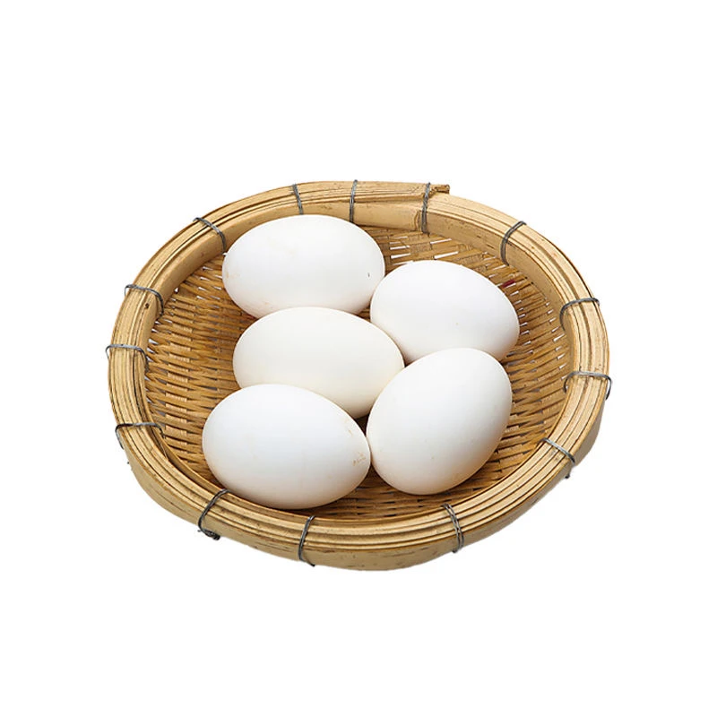 顺丰包邮，东北农村散养笨鹅蛋