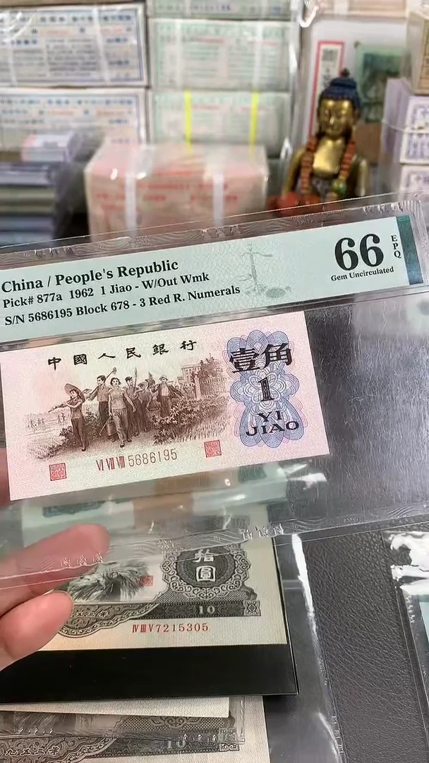 【闪购商品】背绿尾195
