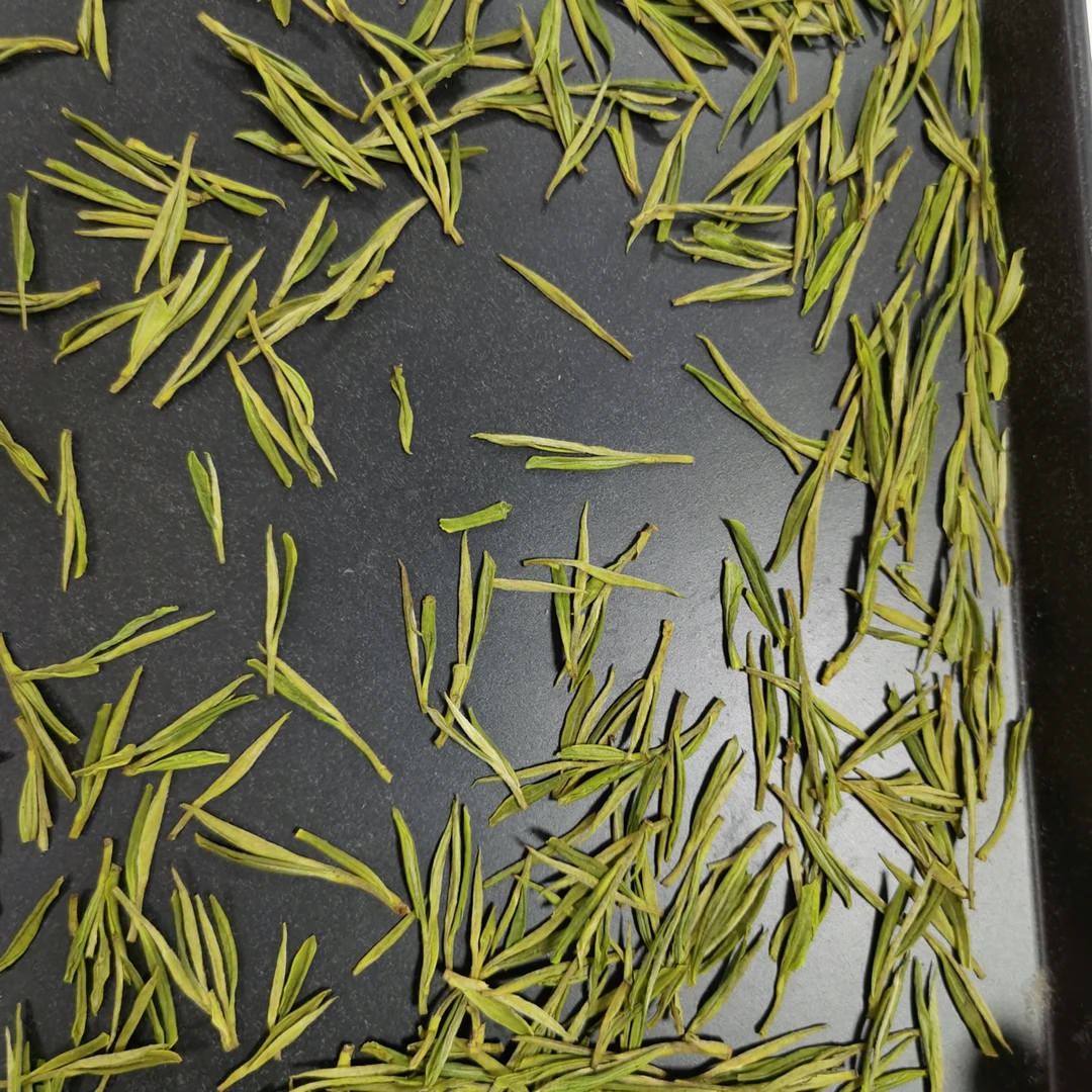 茗紫薇2025安吉昆铜口粮白茶