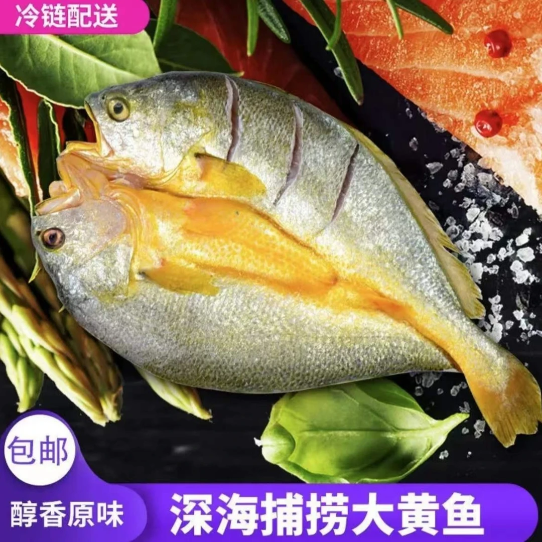 【顺丰包邮3+1条】450g-490g/条 福建宁德霞浦大黄鱼黄鱼鲞