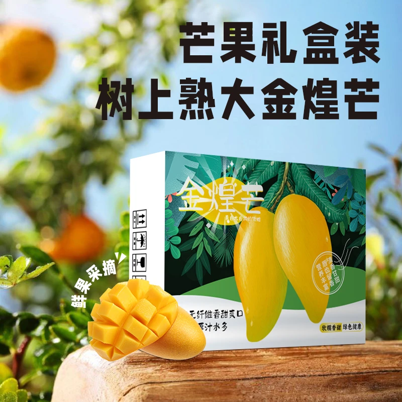 【芒果礼盒】爆甜金煌芒芒果当季香甜多汁新鲜金煌芒果特产正宗包邮