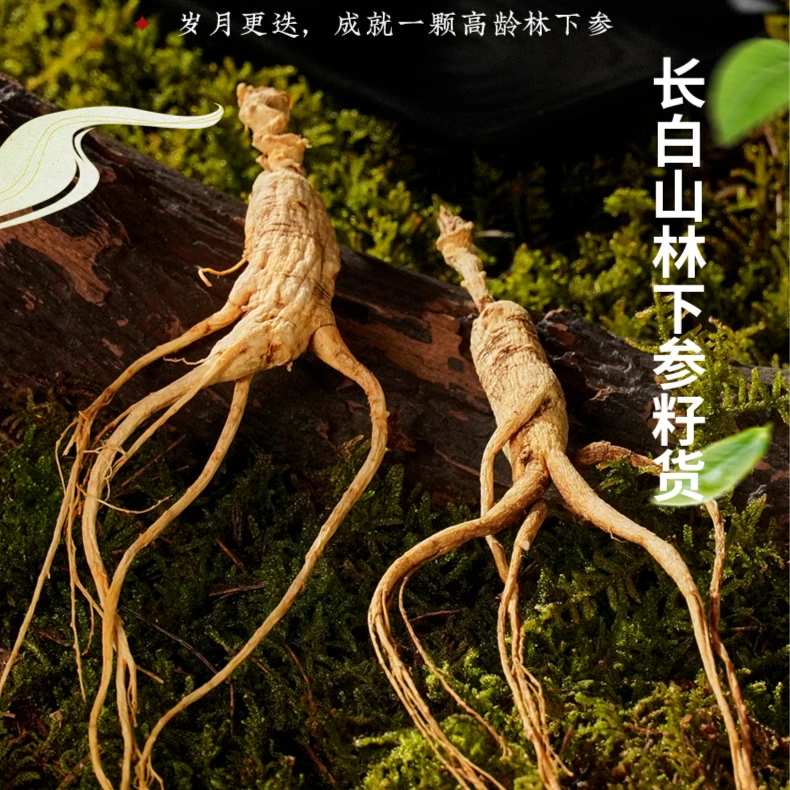 长白山林下参250/500g