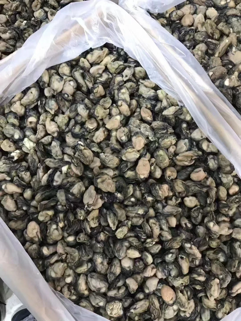 湛江本地生蚝干纯零添加无抽油原汁原味