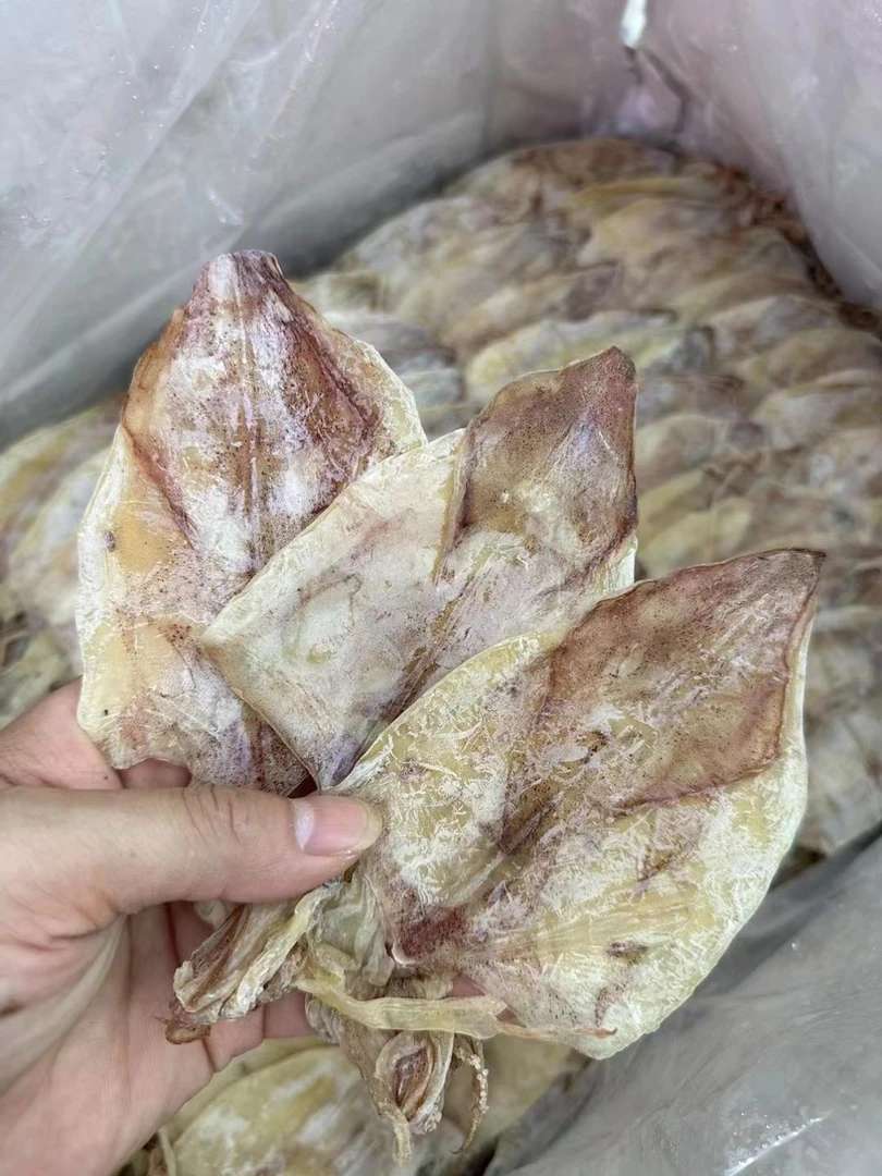 北海尤鱼可以炒可以打火锅