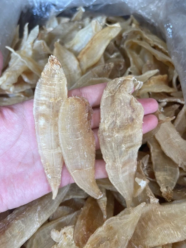清水金龙胶160头左右老胶