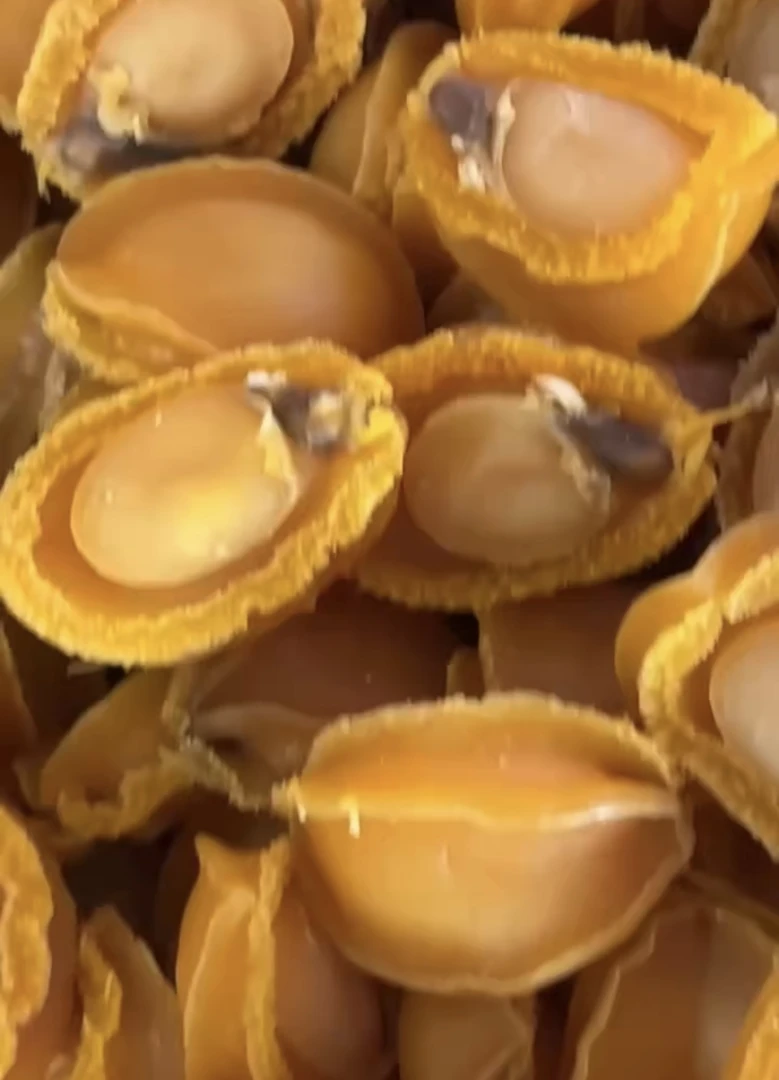 鲍鱼干黄金鲍小鲍鱼40头左右