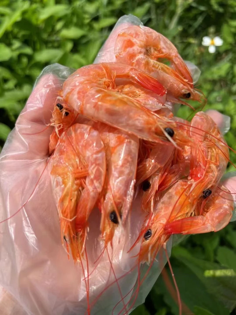 小虾干烤干零食好吃